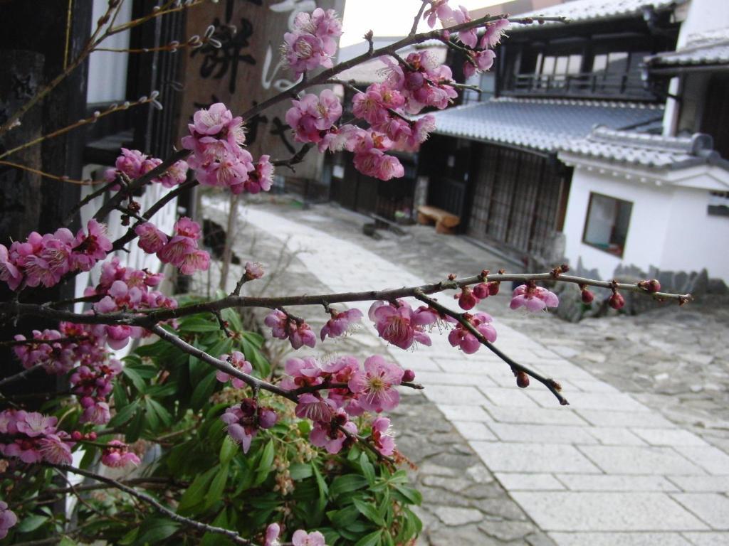 Tajimaya Nakatsugawa Ngoại thất bức ảnh